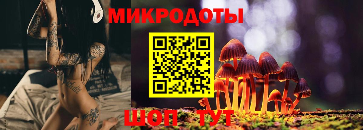 Псилоцибиновые грибы Cubensis Гурьевск